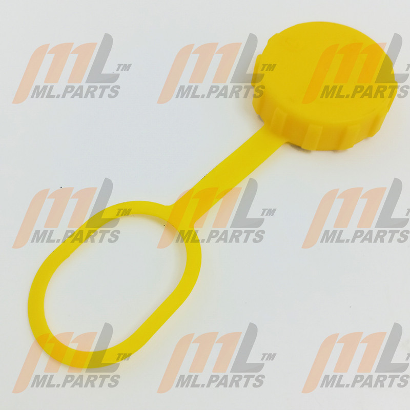 CAP AND LANYARD