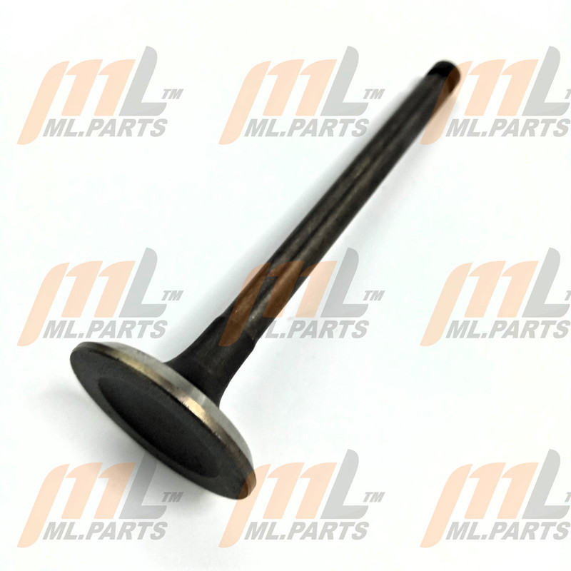 EXHAUST VALVE F2