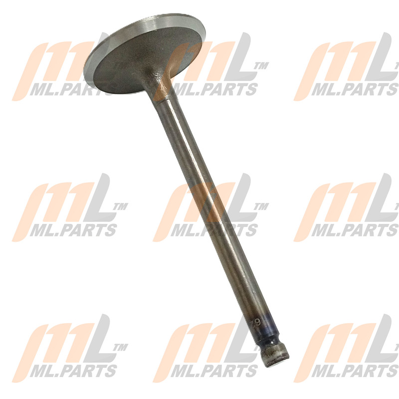 INTAKE VALVE FE/F2