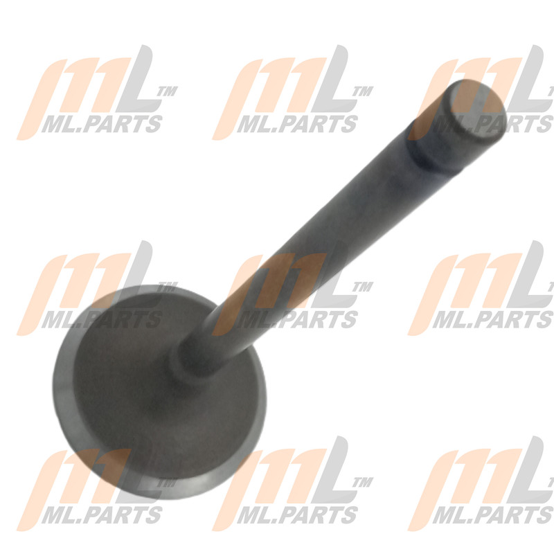 INTAKE VALVE-4Y