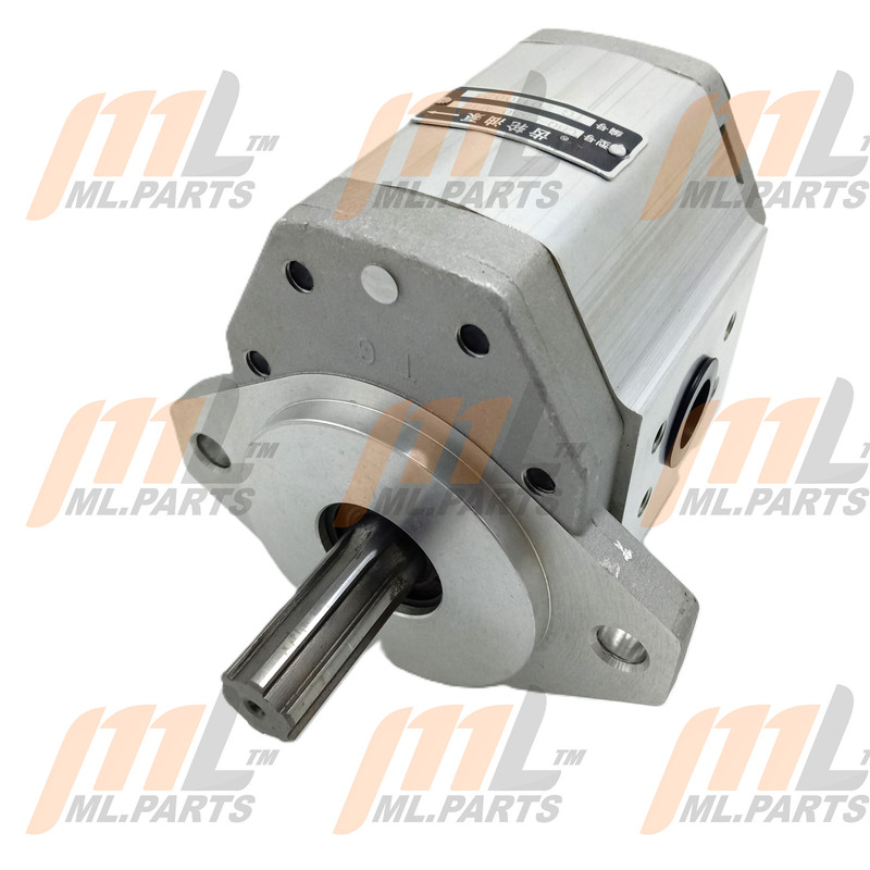 PUMP HYD RAN45D