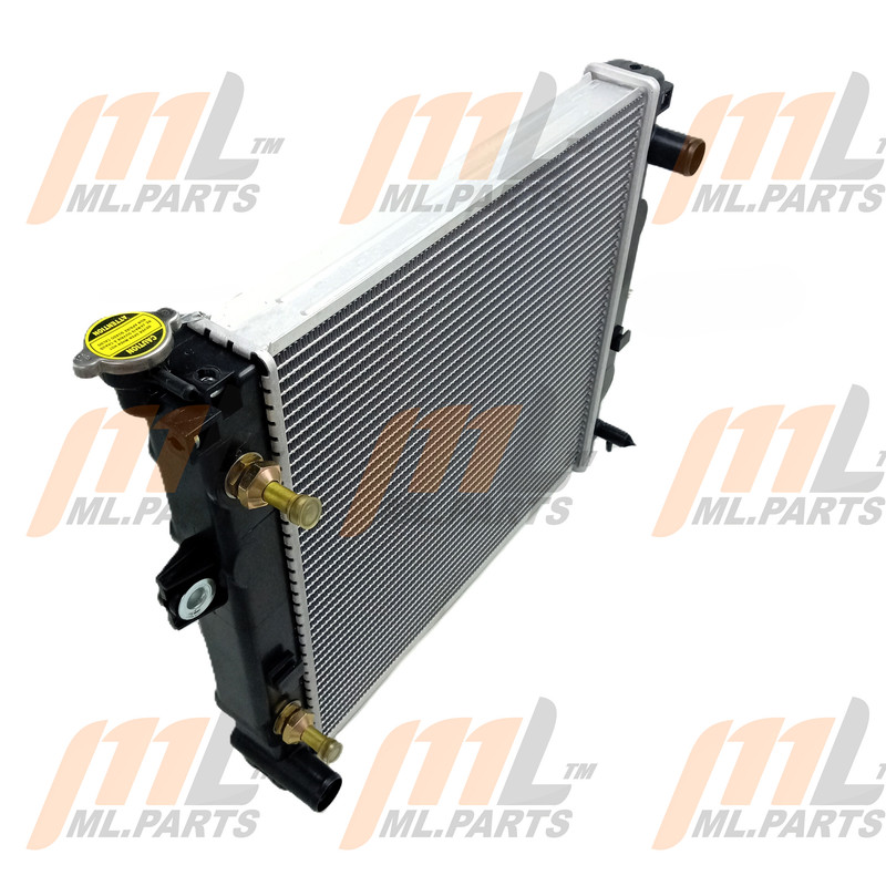 RADIADOR FG25S 24*18,5