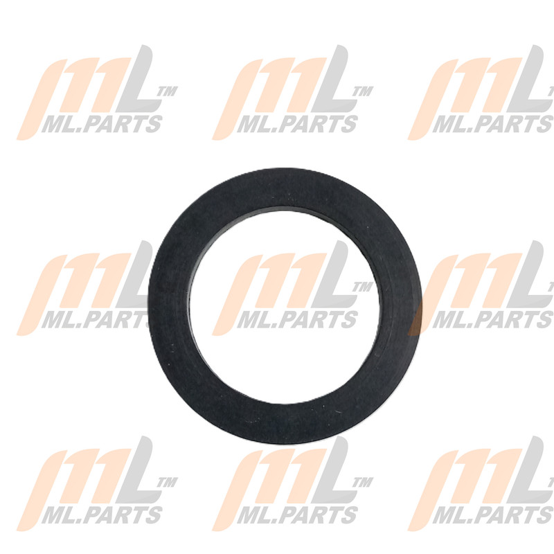 RING - SEAL (TANK)