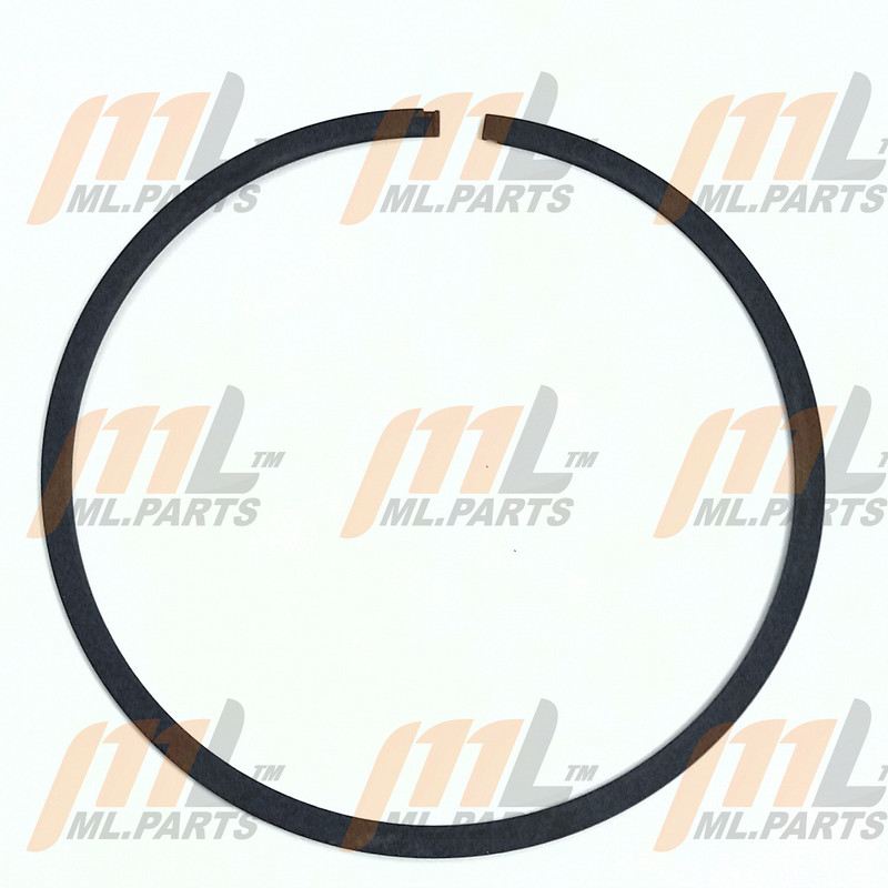 RING SEAL