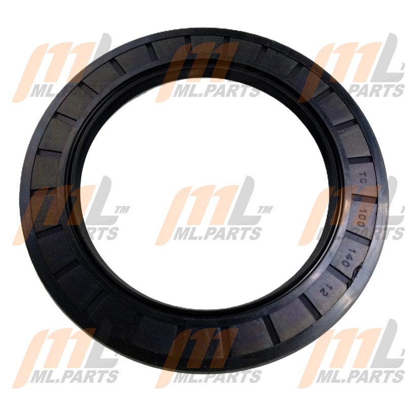 SEAL 100X140X12