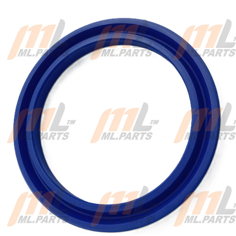 SEAL BLUE 125X100X12 MODEL AEC18W4LI