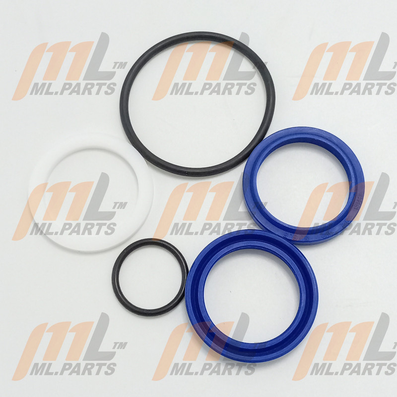 SEAL KIT FOR LIFTING