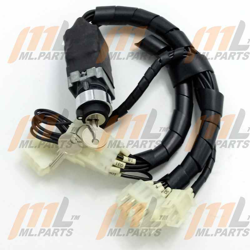 SWITCH - IGNITION FLEXI G4