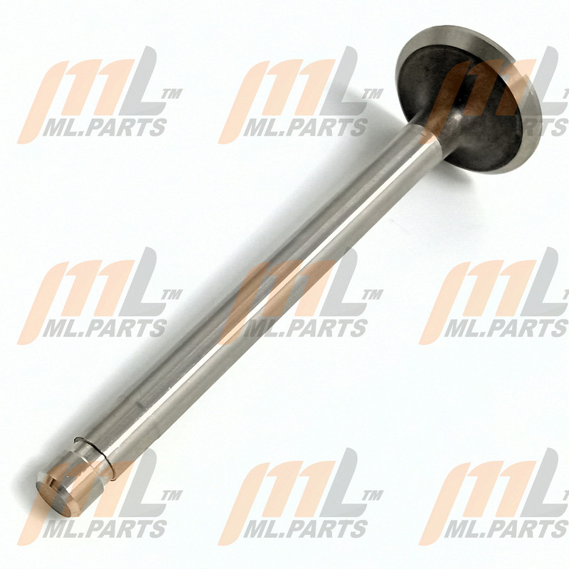 VALVE - EXHAUST H20 H30