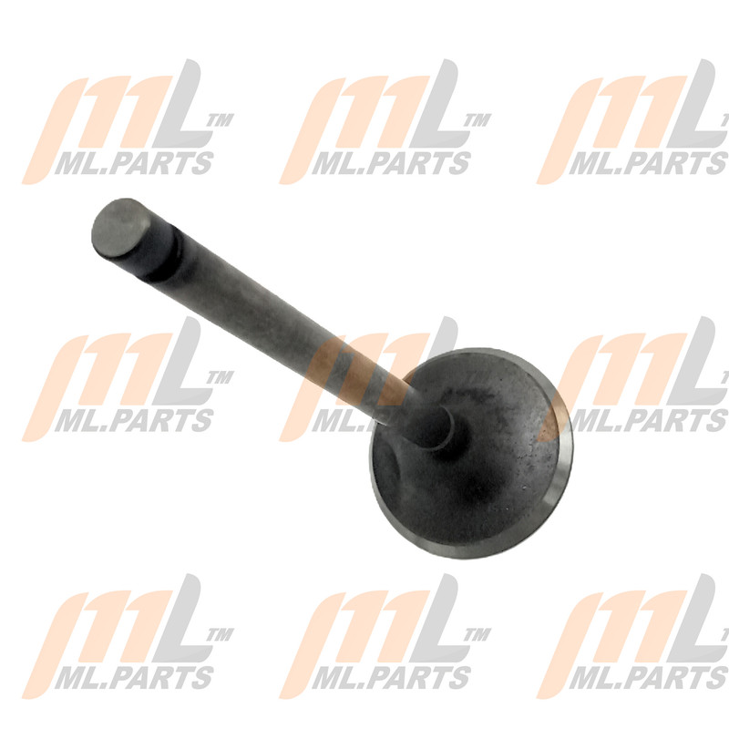 VALVE - INTAKE H20-II H25