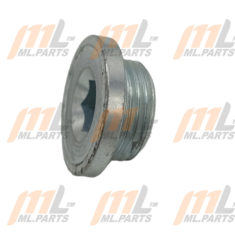 PLUG - W/HEAD TAPER