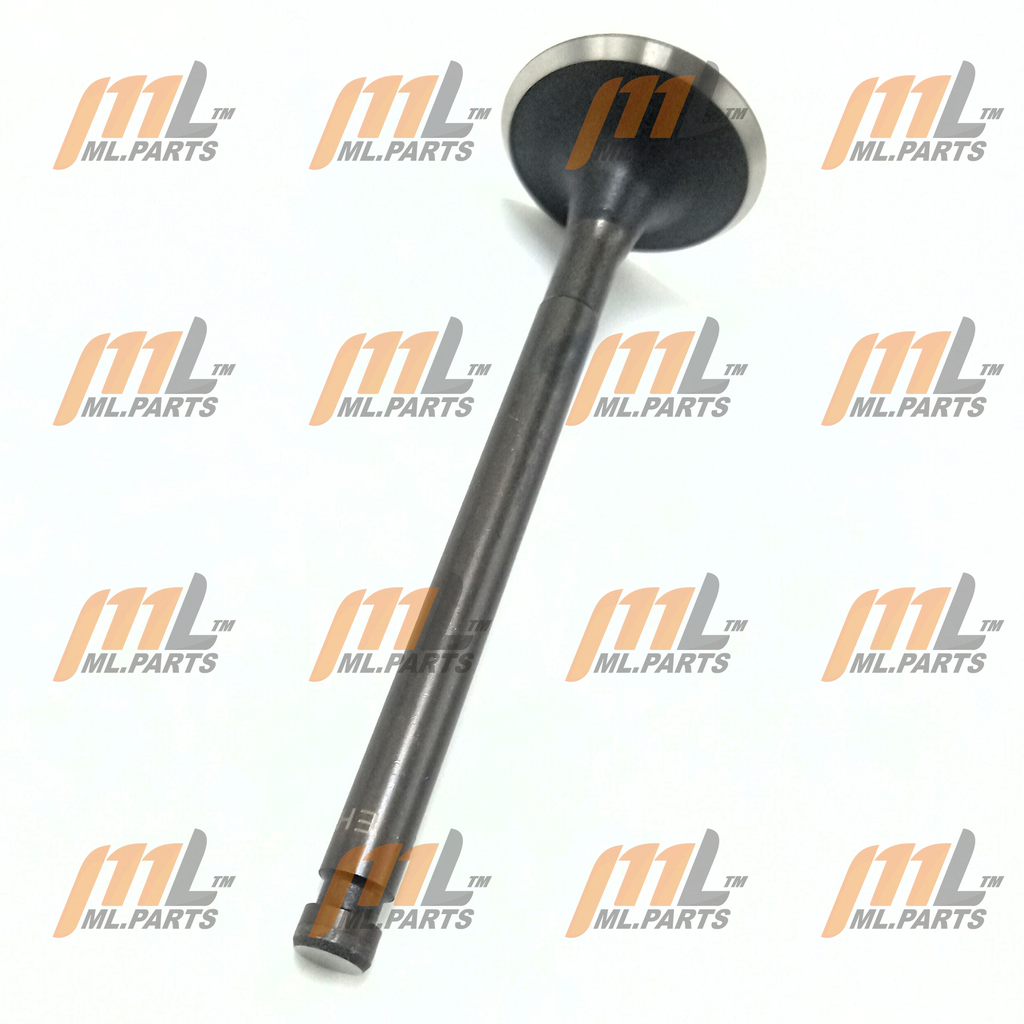  EXHAUST VALVE K21