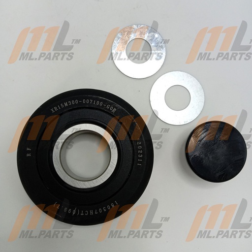 COMPLEX ROLLE ASSY
