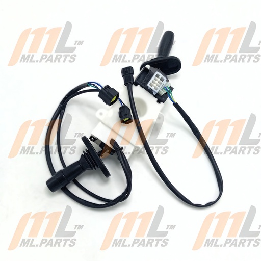 Combination switch EC50W4LI