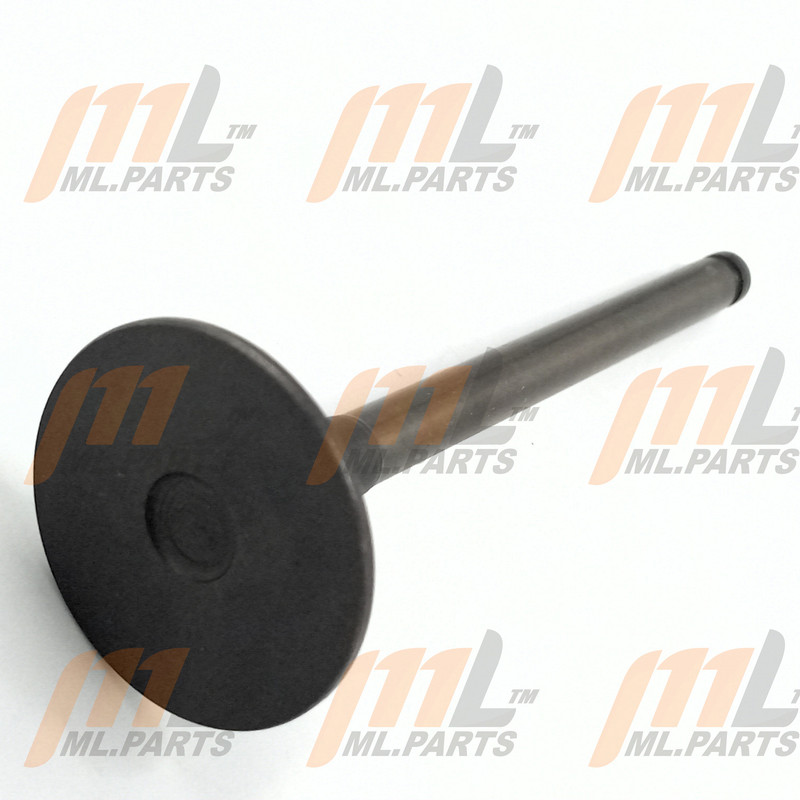 EXHAUST VALVE TD27/TD42