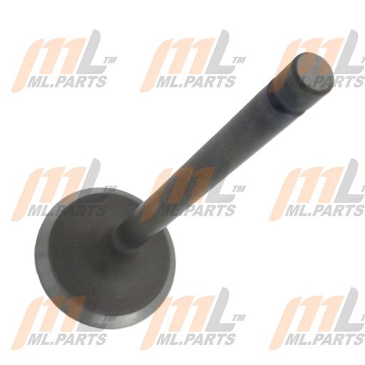 INTAKE VALVE-4Y