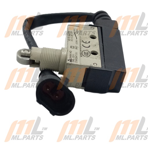 MICROSWITCH