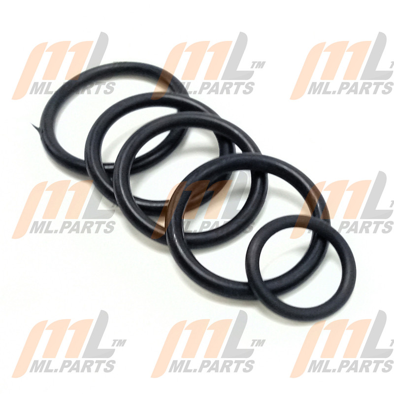 MULTIPLEX VALVE ASSEMBLY KIT