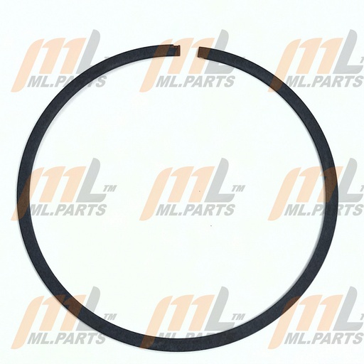 RING SEAL