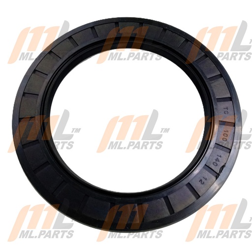 SEAL 100X140X12