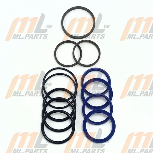 STEERING - SEAL KIT MODEL EC20W4LI