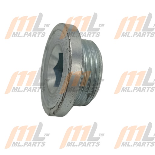 PLUG - W/HEAD TAPER