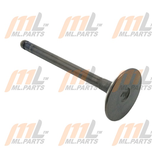  INTAKE VALVE 1DZ